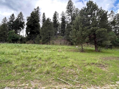 0 Trading Post Rd unit 66 170435, Cloudcroft, NM 88317 - photo 6