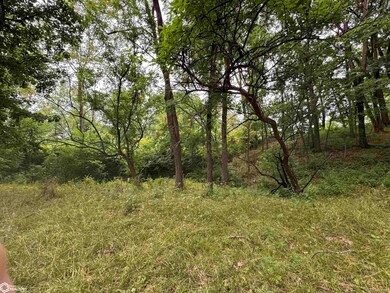 0 Route J40 unit NOC6329514, Bonaparte, IA 52620 - photo 6