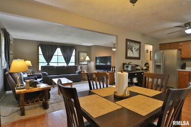 16215 N Jefferson Ct, Chillicothe, IL 61523 - photo 3