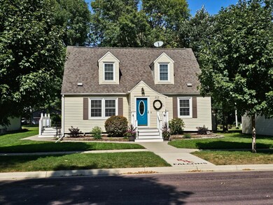 203 3rd Ave E, Lamberton, MN 56152 - photo 3