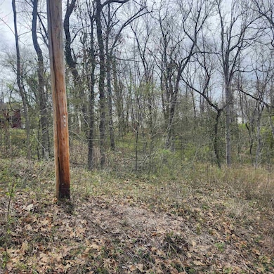 L-6, B-4 Tomahawk Dr, Cherokee Village, AR 72529 - photo 6