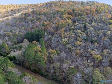 3 Acres Ashley Dr, Grant, AL 35747 - photo 2