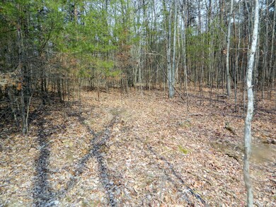 0 Stewart Ln unit 1261078, Rising Fawn, GA 30738 - photo 4