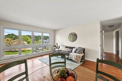 79 Ravenswood Rd, Waltham, MA 02453 - photo 5