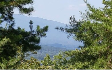 Additional View