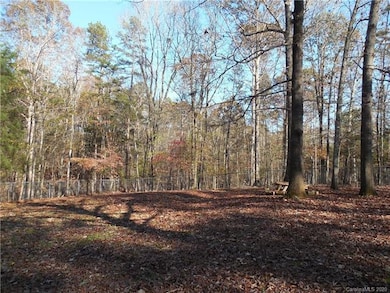 10225 Nugget Place unit 14, Midland, NC 28107 - photo 6