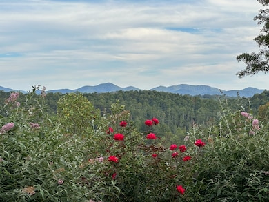 101 Toccoa Vista Ln, Mineral Bluff, GA 30559 - photo 4