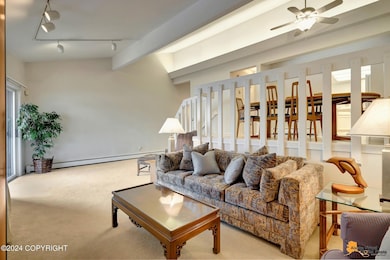 Large living room