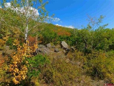 Lot 12 Aspen Hills Rd, Cedaredge, CO 81413 - photo 7