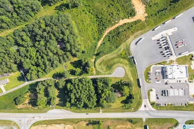 0 Highway 46 unit 1.9 21430374, Heflin, AL 36264 - photo 7