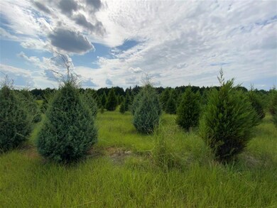 0 Cordele Hwy unit Tract 2 215622, Hawkinsville, GA 30451 - photo 4