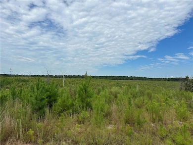 25 Rolling Ridge Rd, Seale, AL 36875 - photo 3