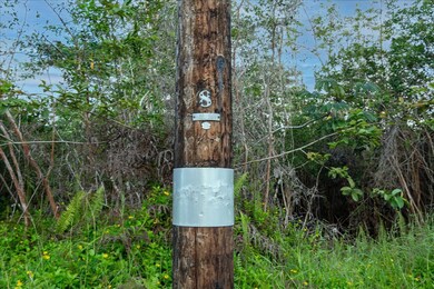 0 24th Ave unit 726124, Keaau, HI 96749 - photo 3