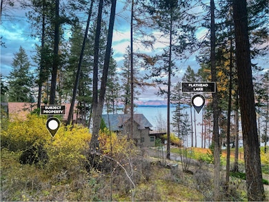 Flathead Lake View from property