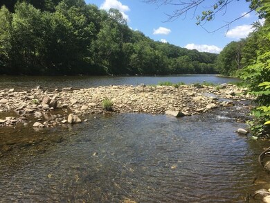 0 Mohawk Trail, Hawley, MA 01339 - photo 3