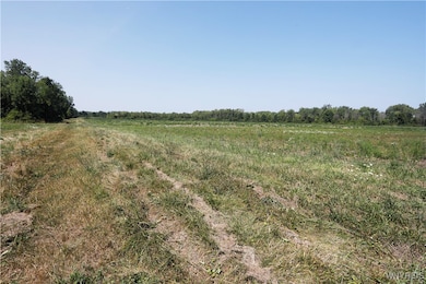 0 Wilson Cambria Rd unit B1631300, Wilson, NY 14172 - photo 7