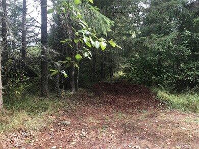 13232 Rocking South Ln SE, Yelm, WA 98597 - photo 5