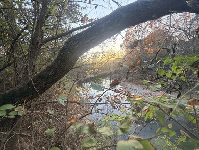 521 Bismark Dr, Nashville, TN 37210 - photo 3