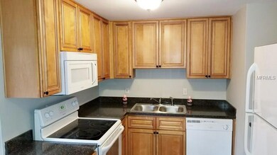 3705 Argon Dr, Tampa, FL 33619 - photo 3