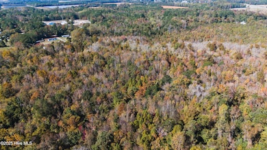 0 Gray Rd, Chocowinity, NC 27817 - photo 4