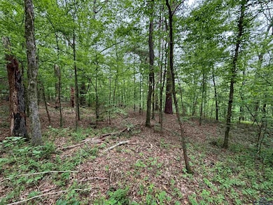 View of local wilderness with a forest view