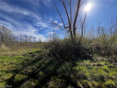 683 Rome Rock Creek Rd, Roaming Shores, OH 44084 - photo 2