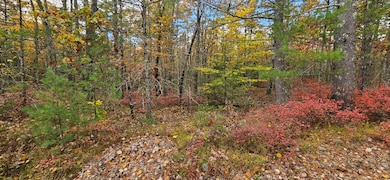 0 Lindsay Ln, South Berwick, ME 03908 - photo 5