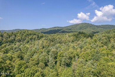 0 Waters Rd, Laurel Blmry, TN 37680 - photo 6