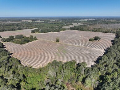 5018 Old Us Rd, Marianna, FL 32446 - photo 7