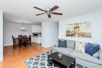 10077 N Bunker Hill Dr unit F, St. Louis, MO 63123 - photo 4