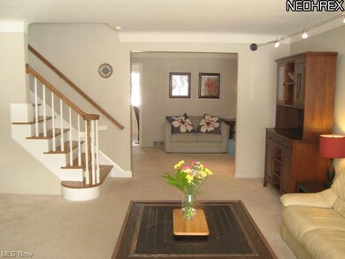 Large Light and Bright Living Room