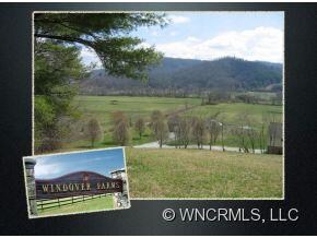 French Broad River Valley View