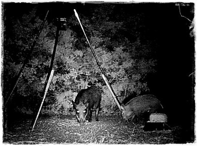 5600 N Fm 51, Weatherford, TX 76085 - photo 7