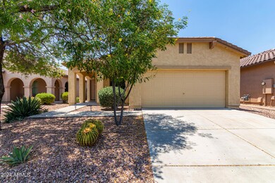 01 - Palo Verde