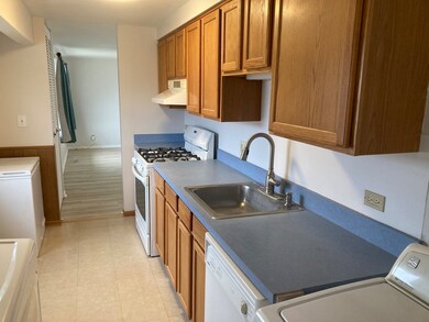 304 Amarillo Dr, Carpentersville, IL 60110 - photo 6