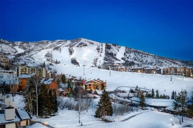 1855 Burgess Creek Rd unit 4, Steamboat Springs, CO 80487 - photo 4