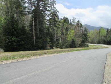 4 Golden Heights Rd unit 29.1, Waterville Valley, NH 03215 - photo 2