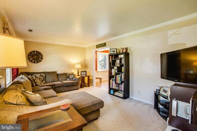 10911 Cedar Post Ln, Spotsylvania, VA 22553 - photo 4