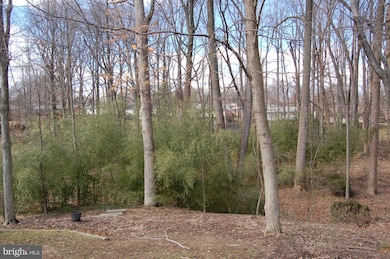 10 Briggs Ct, Silver Spring, MD 20906 - photo 3