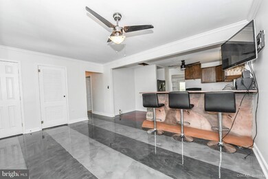 313 Queen St, Frederick, MD 21701 - photo 5