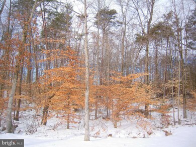 13044 Brierly Forest Ct, Manassas, VA 20112 - photo 3