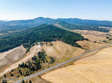 NNA Coldwater Ln, Desmet, ID 83824 - photo 7