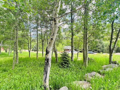 834 Ponderosa Rd, La Veta, CO 81055 - photo 7