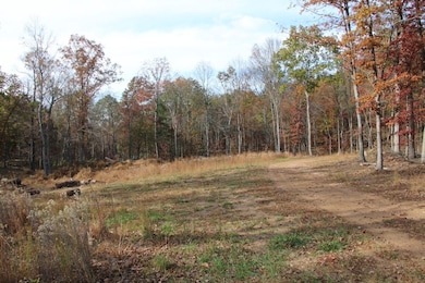 0 Easter Ridge Ln unit LotWP008 23743105, Gainesboro, VA 22603 - photo 4