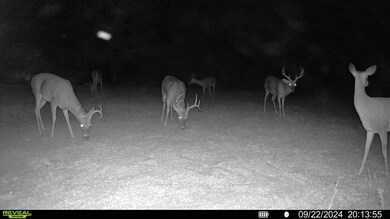 229 +-ac Cty Rd 62 Cty Rd 160 (Morgan Rd), Coleman, GA 39836 - photo 6