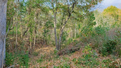 0000 Savannah Hills Ln, Longview, TX 75605 - photo 5