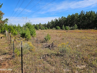 00 Delaware Rd, Defuniak Springs, FL 32433 - photo 2