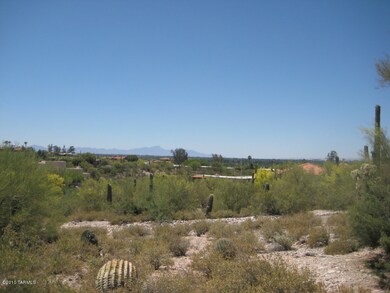 Rincon Mountain Views