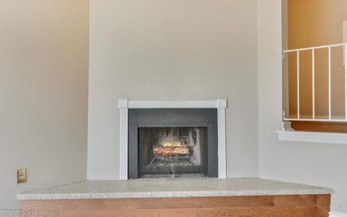 Wood burning fireplace