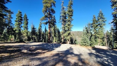 1070 Strawberry Point Rd, Duck Creek Village, UT 84762 - photo 3